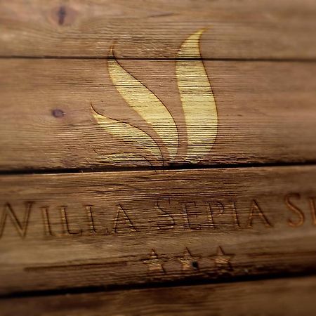 Willa Sepia Spa Wisła Εξωτερικό φωτογραφία