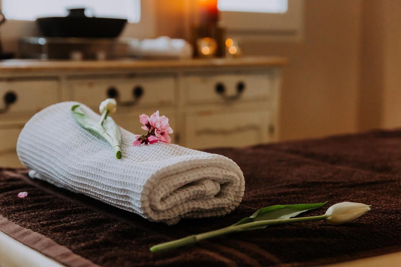 Willa Sepia Spa Wisła Εξωτερικό φωτογραφία